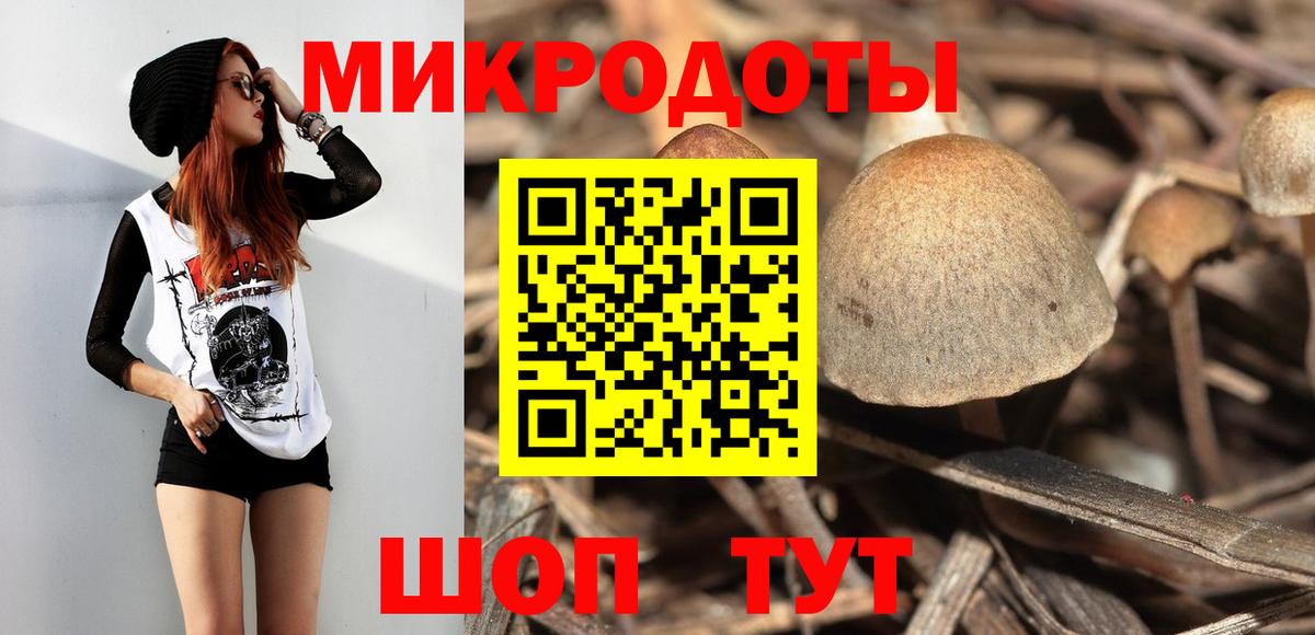 Зеленокумск  купить   Вход с VPN  Псилоцибиновые грибы MAGIC MUSHROOMS 
